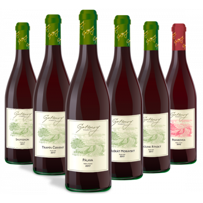 Degustace vín - Vinařství Gotberg